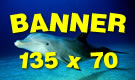 Anteprima banner