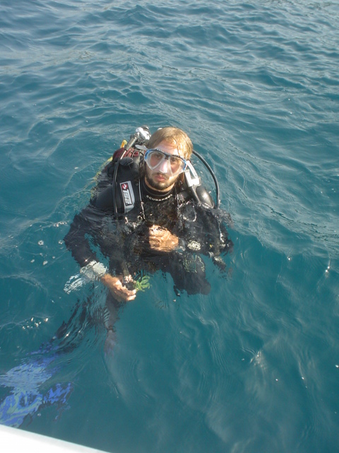 DARIOACCAPUTO