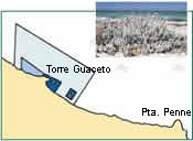 TORRE GUACETO