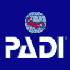 Padi