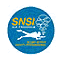 Snsi