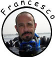 FrancescoVaccaro